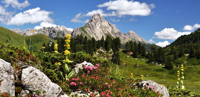 Geführte Bergtour Biberkopf. 2.599 m